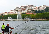 Coimbra coimbra k