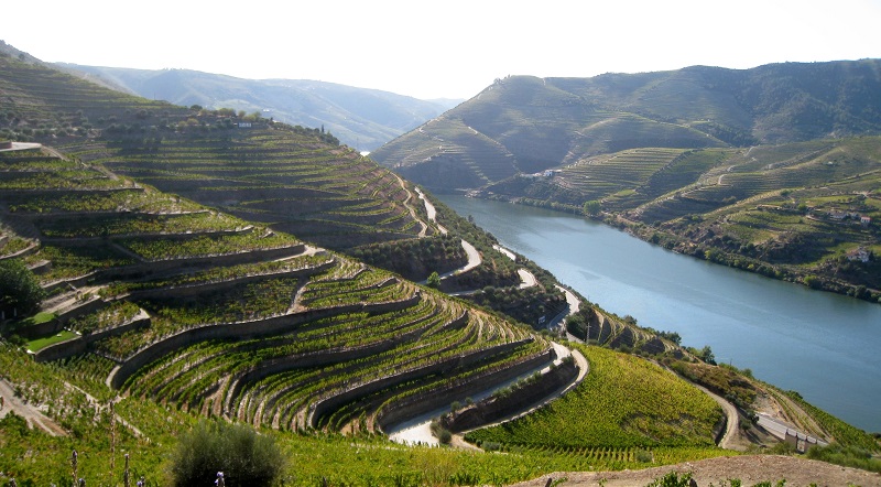 vallee-douro-porto.jpg